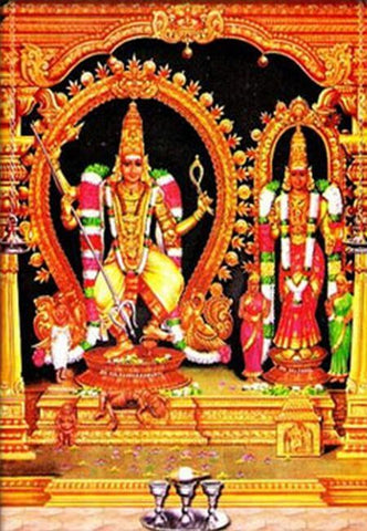 70th Birthday in Thirukadaiyur Temple| Anarghyaa.com | Temple Puja | Bhimaratha Santhi