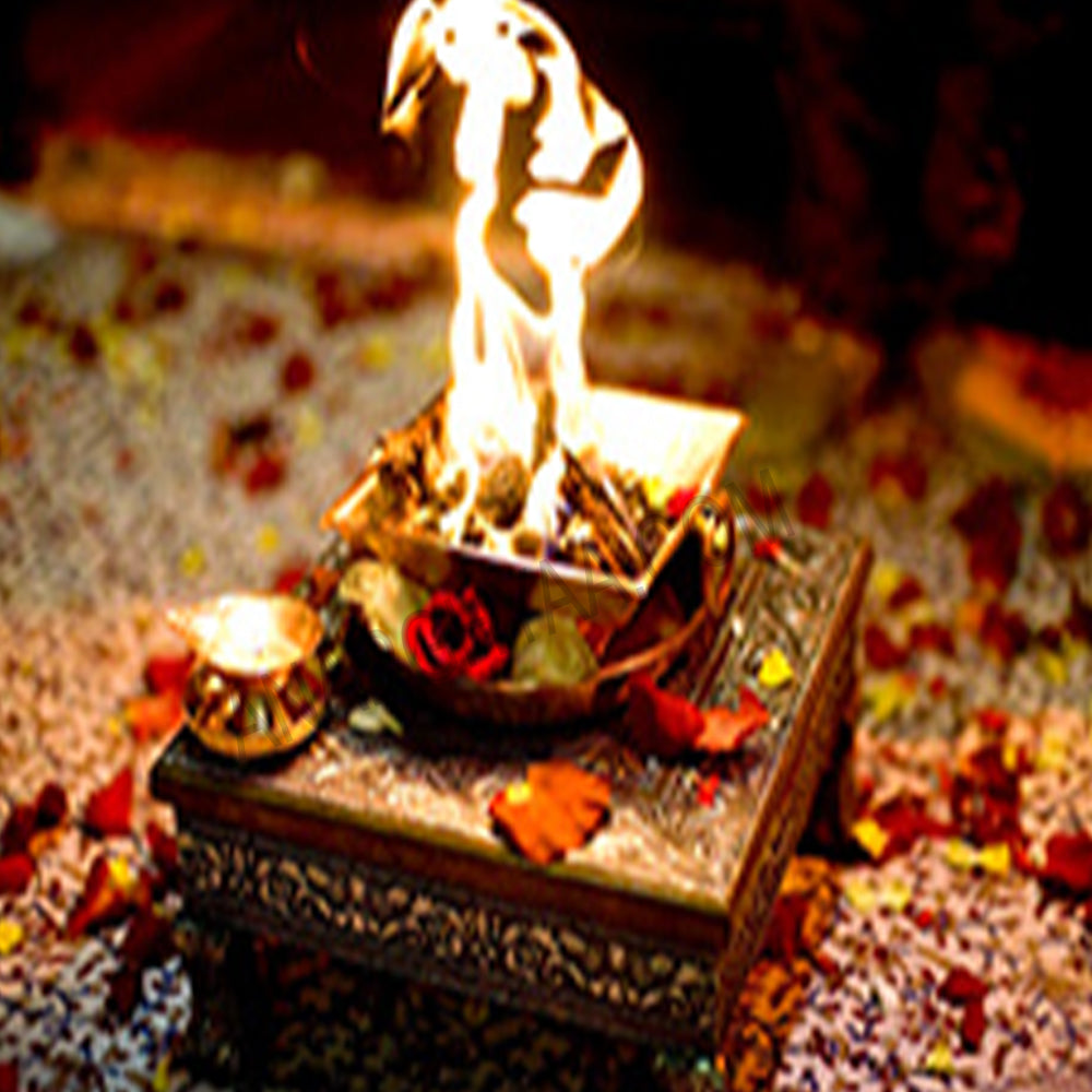 Homam Rushi Homams and Havans | Perform Homams | Anarghyaa.com