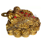 Feng Shui Frog, Anarghyaa.com, Fengshui items online