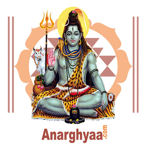 Mrithyunjaya Homam, Anarghyaa.com, homam, homa, havan